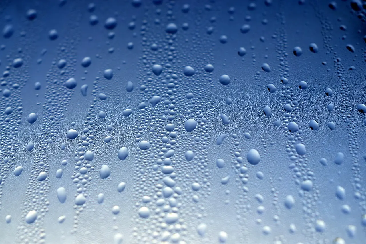 5 billige tricks til et bedre indeklima i din lejlighed