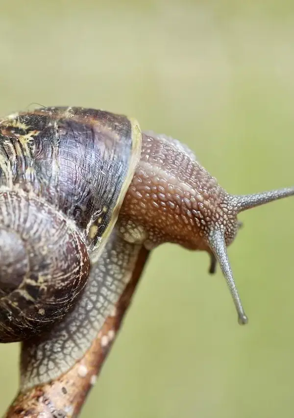5 fejl ved placering af udeføler til varmeanlæg