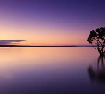 Anne Marie Rindom kæreste: Et sejlende liv med to hjem i Danmark og Australien