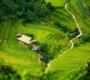 Galvanisk adskillelse: sådan beskytter du dine målekredse