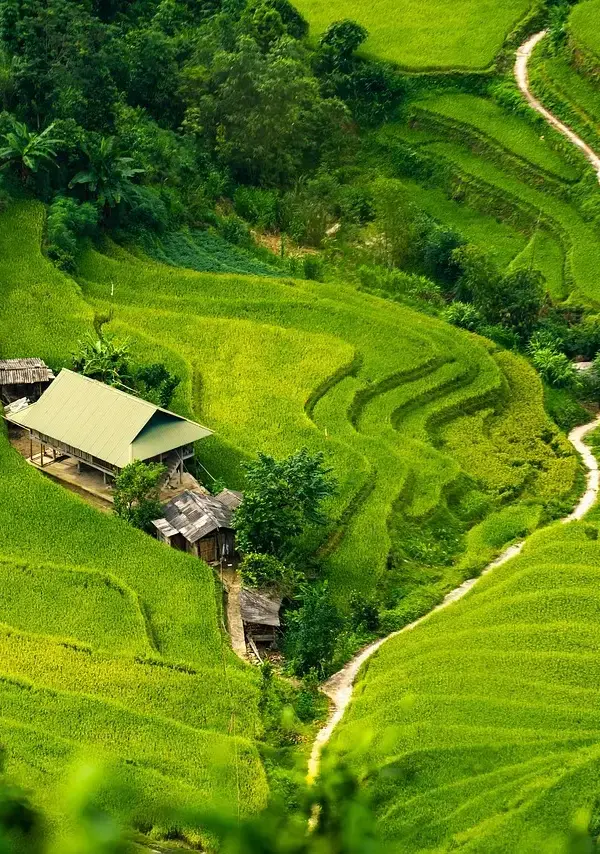 Galvanisk adskillelse: sådan beskytter du dine målekredse