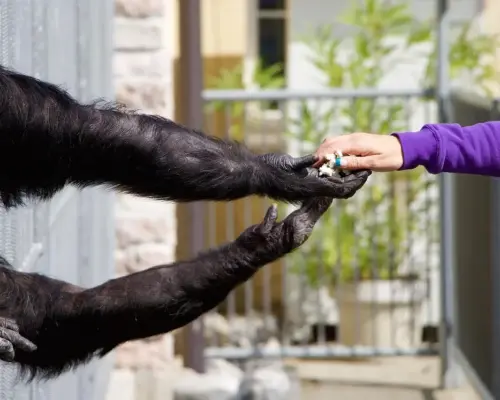 Hvad er en andelsbolig? Alt du bør vide om fordele, faldgruber og køb Hvad er en andelsbolig? Alt du bør vide om fordele, faldgruber og køb