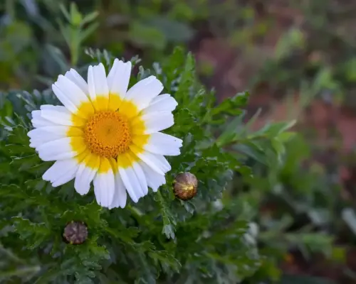 Hvad er en bypass operation? - Alt du skal vide om hjertekirurgi, risiko og genopretning Hvad er en bypass operation? - Alt du skal vide om hjertekirurgi, risiko og genopretning