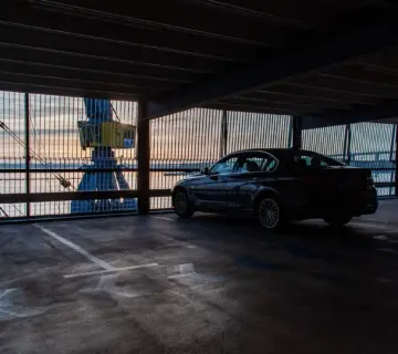 Hvad koster det at fjerne skimmelsvamp? Sådan sparer du penge og beskytter dit hjem