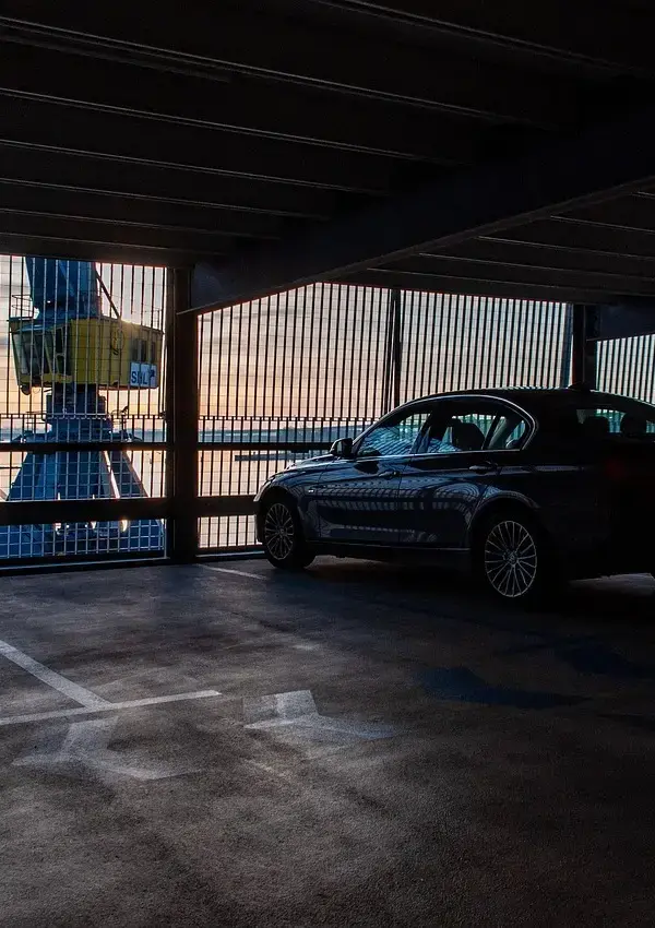 Hvad koster det at fjerne skimmelsvamp? Sådan sparer du penge og beskytter dit hjem