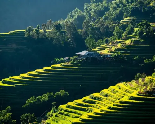 Hvad koster det at låne en million til andelsbolig? Få regnestykket - og undgå dyre overraskelser Hvad koster det at låne en million til andelsbolig? Få regnestykket - og undgå dyre overraskelser
