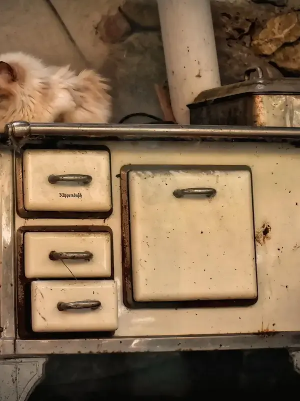 Hvad koster en brændeovn? Alt du skal vide om pris, installation og besparelser