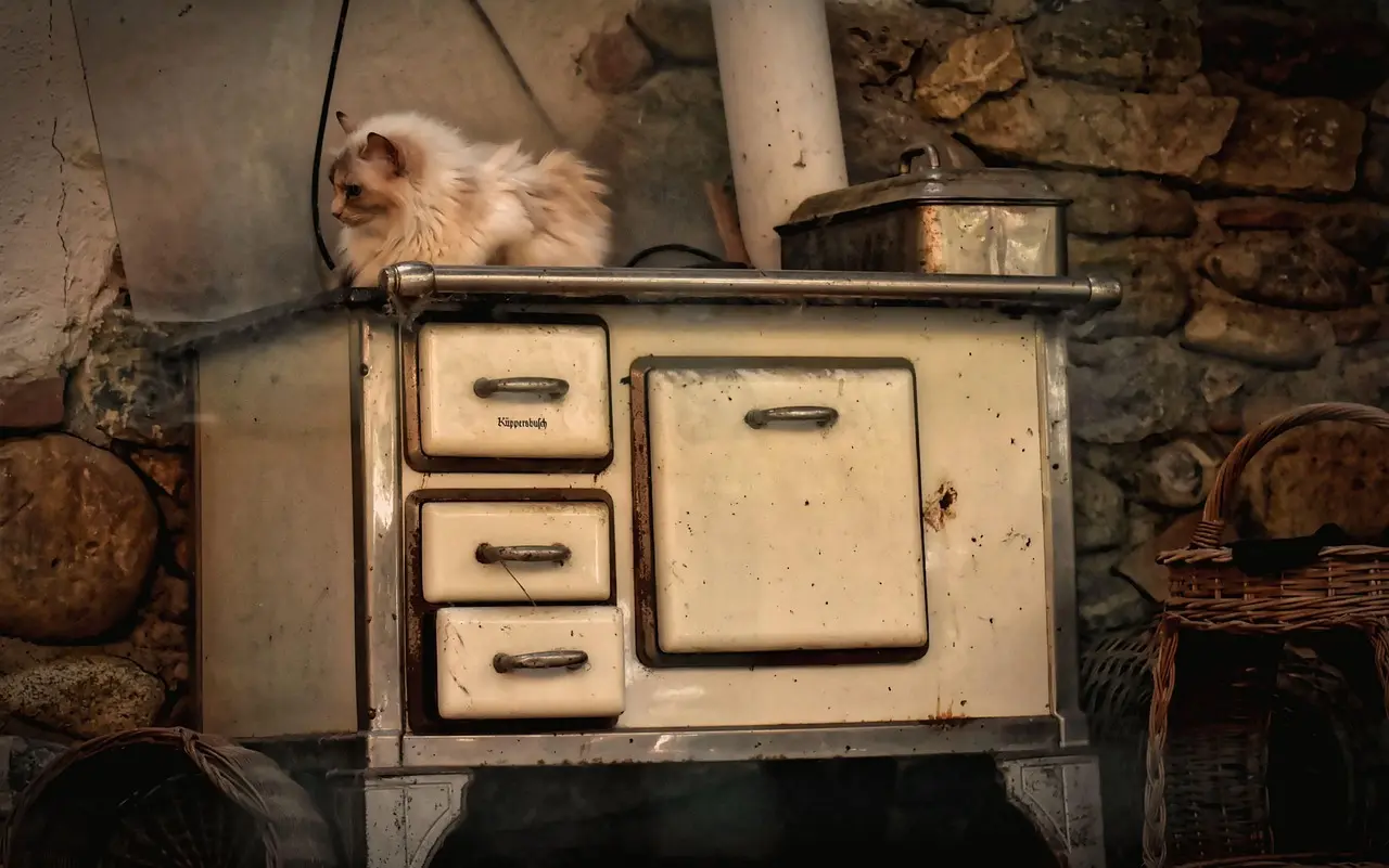 Hvad koster en brændeovn? Alt du skal vide om pris, installation og besparelser