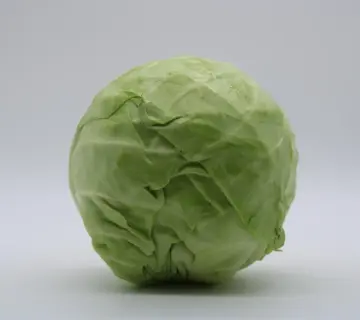 Hvad koster separatkloakering? Sandheden om prisen   og hvordan du kan spare tusindvis