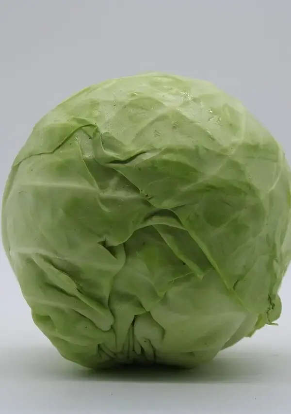 Hvad koster separatkloakering? Sandheden om prisen   og hvordan du kan spare tusindvis