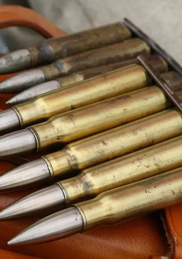 Hvordan justerer jeg temperaturbegrænseren i bruseren?