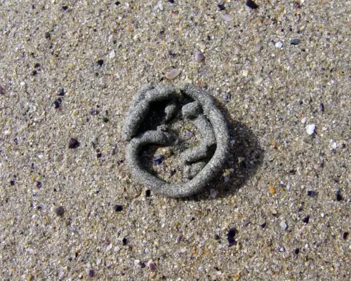 Medvirkende i Dune Medvirkende i Dune