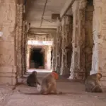 Medvirkende i World War Z