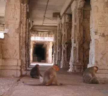 Medvirkende i World War Z