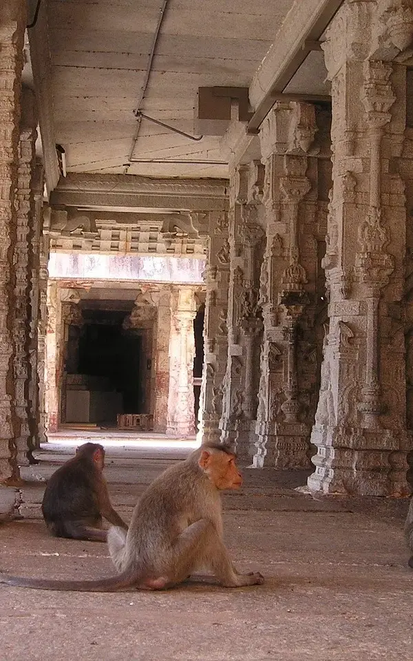 Medvirkende i World War Z