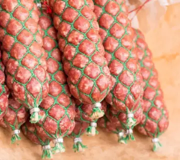 Rolf Sørensen kæreste: Indblik i privatlivet bag cykelikonet